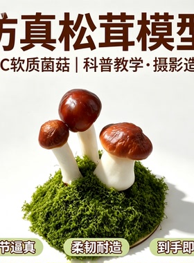 仿真野生菌模型不褪色餐厅装饰