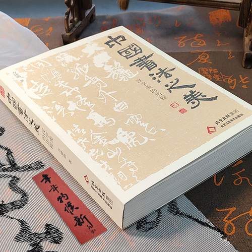【官方正版】中国书法之美赠赤壁赋北大精选公开课方建勋800余张碑帖墨迹字帖甲骨文金文篆行楷书法发展历程书法篆刻艺术临摹范本 - 图3