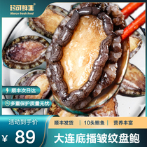 Marcan freshly born Dalian abalone 10 head 1 catty Bottom Sowing Wrinkled Pan Baunine Kombou Fish Fresh Frozen