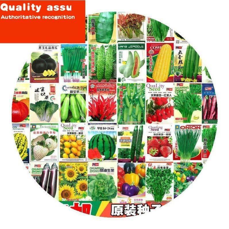 Four Seasons Pot Planting of Various Vegetable Seeds - 图1