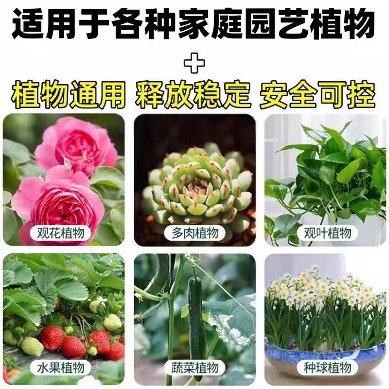 植物营养棒缓释盆栽花卉家用懒人养花通用型营养液片绿植土壤