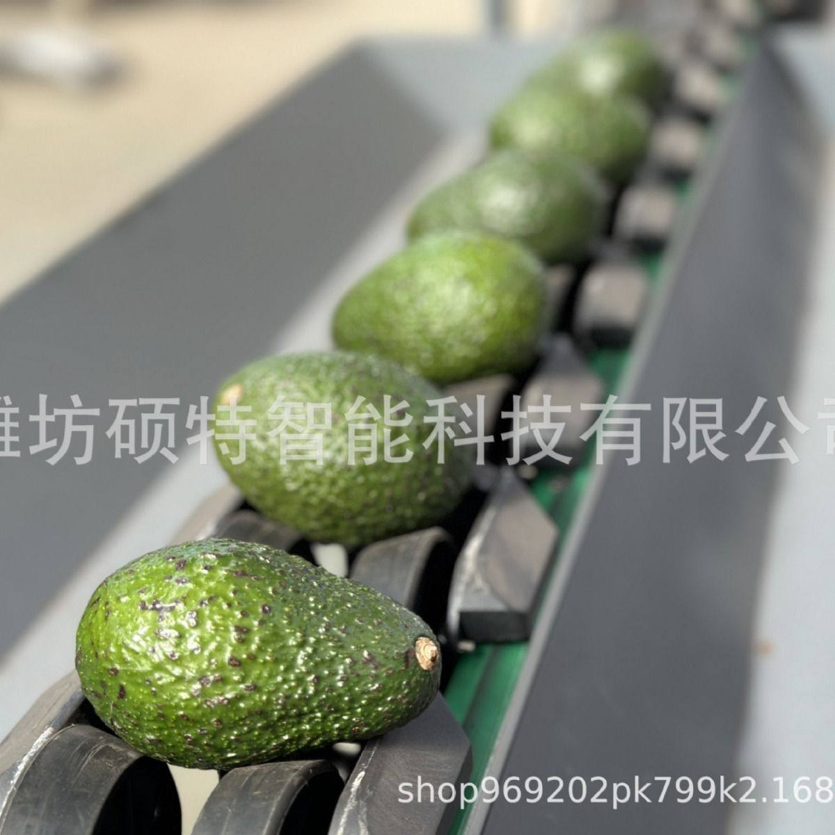 全自动牛油果重量分选机 百香果称重选果机猕猴桃分拣机厂家,淘宝优惠券,粉丝福利购,淘宝优惠卷