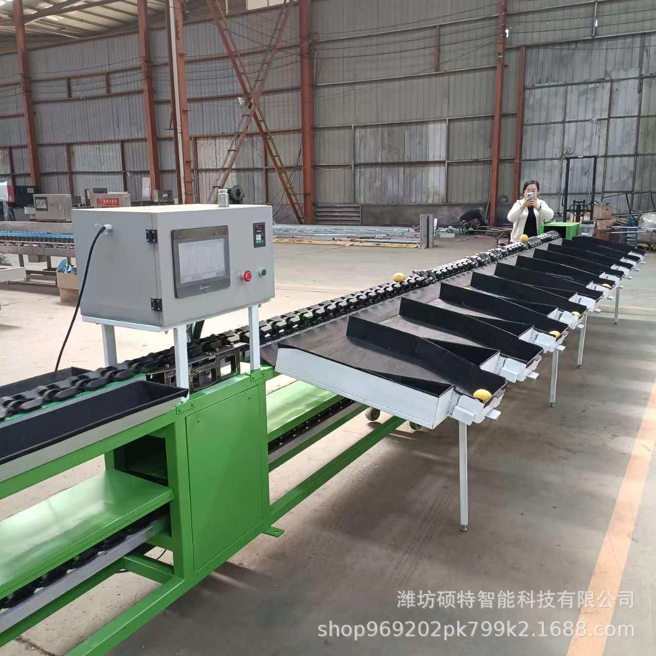 全自动牛油果重量分选机 百香果称重选果机猕猴桃分拣机厂家,淘宝优惠券,粉丝福利购,淘宝优惠卷