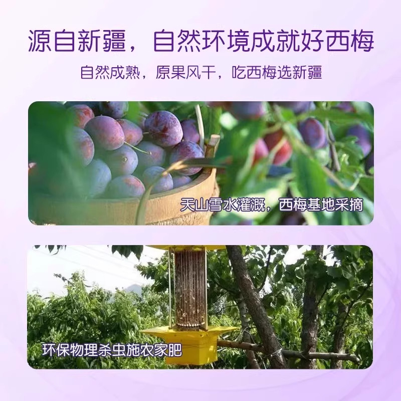 新疆西梅干500g减健康脂期无蔗孕妇糖添加正品零食特产官方旗舰店,淘宝优惠券,粉丝福利购,淘宝优惠卷