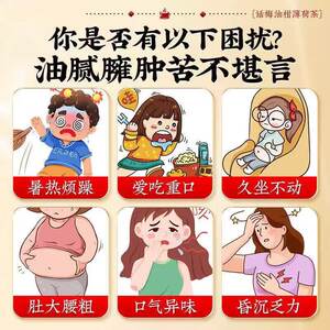 同仁堂话梅油柑薄荷茶高钾水茶包清解腻热生津润喉刮去油腻水果茶