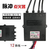 Double stove with high voltage wire gas gas gas cooker Pulse Electronic Ignitor 3V Universal controller accessories