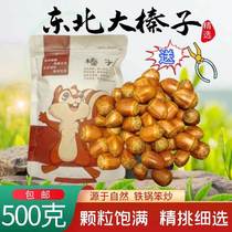 Northeast Teryield great hazelnut freshly fried cooked raw taste dried fruit nut pregnant woman Children with zero food gift box 500g