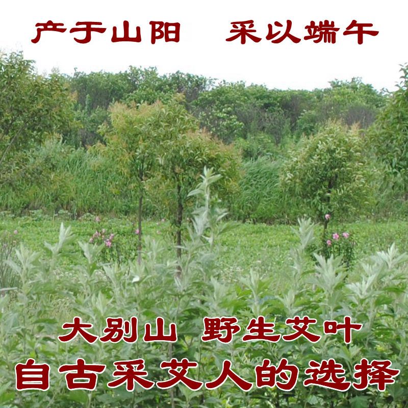 艾叶月子泡脚药包艾草叶产后祛湿气婴儿洗澡妇科驱寒干哎家用新鲜 - 图0