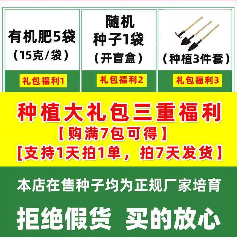 蔬菜种子大全特惠四季适播西瓜甜瓜黄瓜番茄家庭阳台露天土壤种植,淘宝优惠券,粉丝福利购,淘宝优惠卷