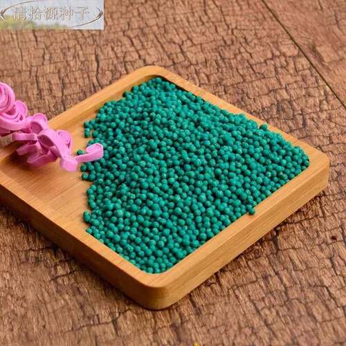 铜钱草籽种子大物叶子水养种种籽草水培植花卉招财盆栽室内常绿 - 图0