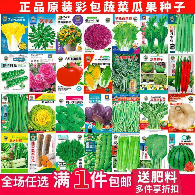蔬菜种子四季播盆栽阳台庭院菜辣椒番茄黄瓜豆角香甜瓜籽肥料大全,淘宝优惠券,粉丝福利购,淘宝优惠卷