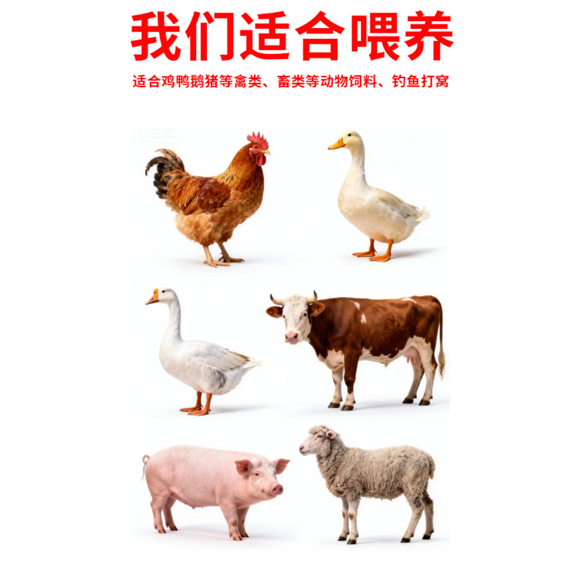 农家统糠米糠喂鸡谷糠砻糠稻糠粉稻谷壳鸡鸭鹅猪鸡吃米糠稻壳饲料,淘宝优惠券,粉丝福利购,淘宝优惠卷