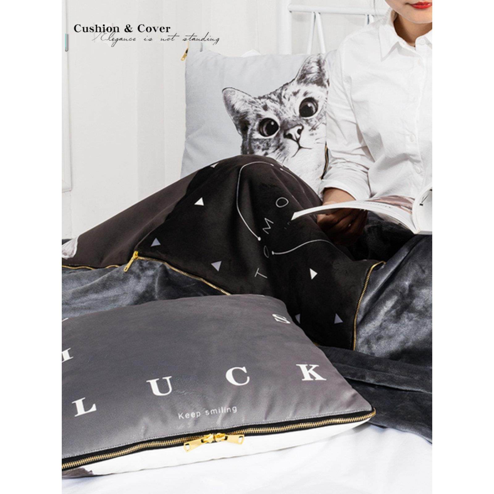 卡通ins抱枕被毯子两用办公室汽车沙发靠枕靠垫空调被加厚多功能,淘宝优惠券,粉丝福利购,淘宝优惠卷