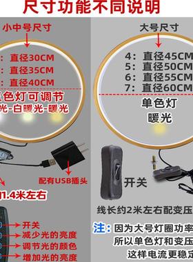 南无大愿地藏王菩萨圆环形灯圈背景画背景灯地藏菩萨灯画摆件佛龛