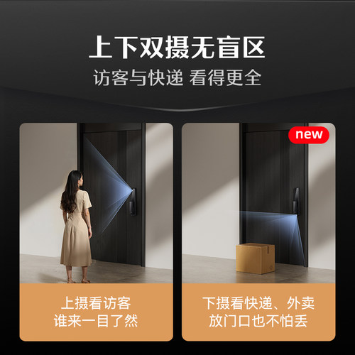 【迷瞪】德施曼智能人脸识别指纹锁家用防盗密码锁Q2F下摄版YB - 图0