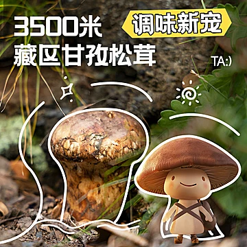 怒降！临期饭之恋菌菇松茸汤底火锅底料2盒[15元优惠券]-寻折猪