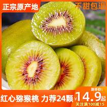 Authentic Sichuan Phujiang Red Heart kiwi fruit fresh should be season full box Chipagin pregnant woman Fruit Monkey Peach