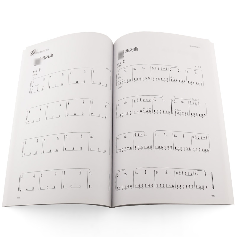 正版 中老年简谱钢琴入门教程 大字版钢琴谱 零基础教程曲谱大全 - 图1