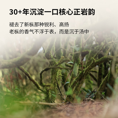 【窠岩氏】九龙窠老树肉桂武夷山岩茶正岩产区乌龙茶老枞送礼自饮 - 图2