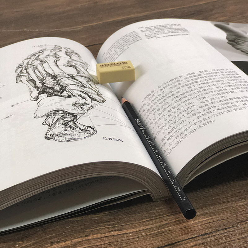 艺用人体解剖名家推荐英国DK授权人体结构绘画教学造型模型素材图集美术教程解剖学笔记教材书籍理解人体形态结构运动学解刨畅销书,淘宝优惠券,粉丝福利购,淘宝优惠卷