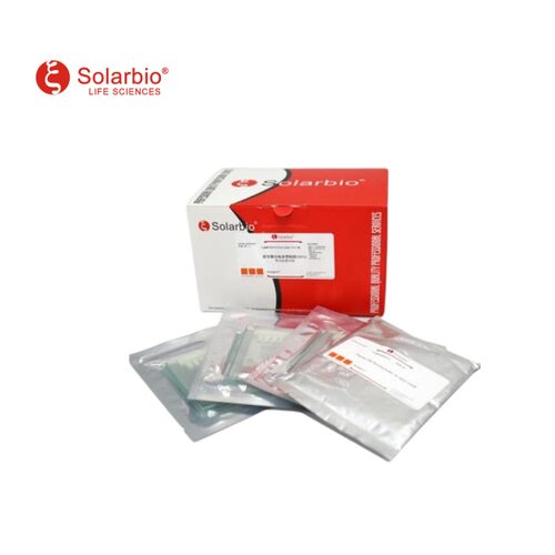 索莱宝Solarbio Precast-Gel变性蛋白预制胶（Plastics)  15孔，8% 10片/盒 PGP00815-S 蛋白与免疫 科研实验 - 图3