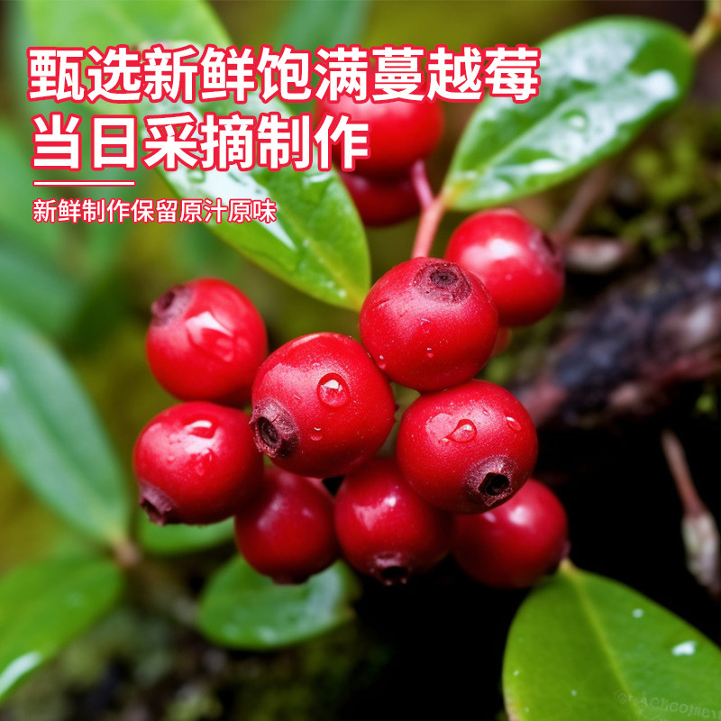  西域南国蔓越莓干