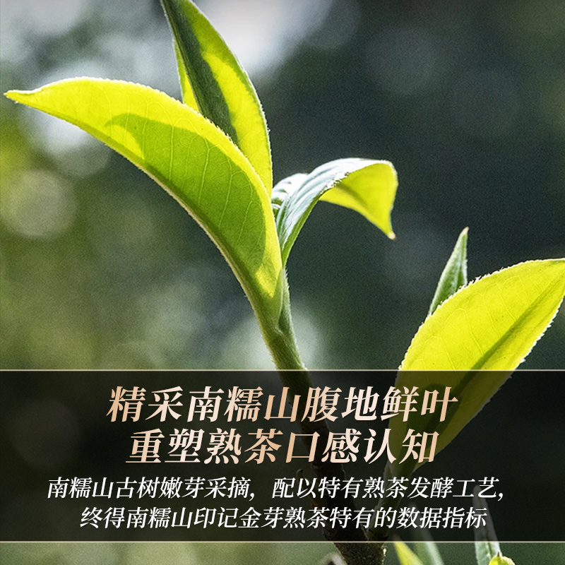 南糯山普洱茶熟茶散茶陈年宫廷熟普春茶黑茶潽洱荼老茶云南普洱茶 - 图0