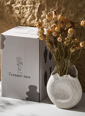 北欧简约白色陶瓷花瓶家居装饰摆件客厅插花干花创意工艺品跨境