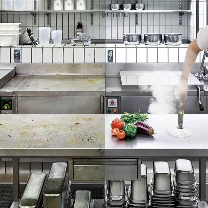 德国卡赫商用高温高压蒸汽清洁机酒店餐馆空调油污清洗机SG4/4 - 图2