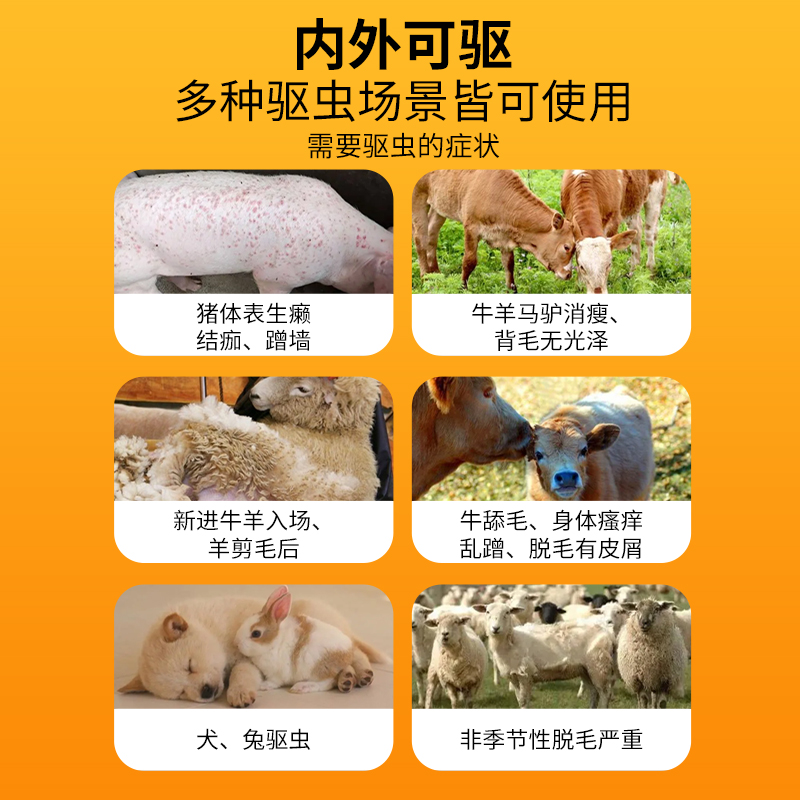 阿维菌素透皮溶液兽用猪牛羊马孕畜可用打虫药犬狗兔体内外驱虫药-图1