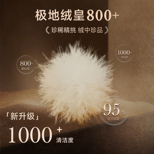 皇家至尊2.0玛莎黑金女款羽绒服冬季95%雁鸭绒2026新款长款外套 - 图1