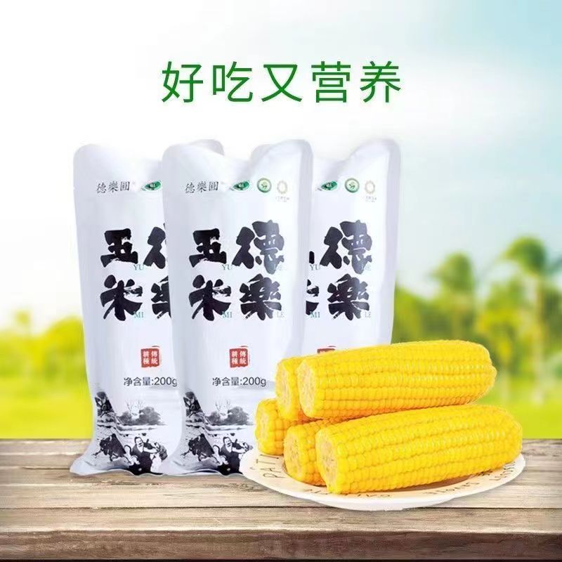 德乐园玉米吉林公主岭水墨画非转基因黄糯香甜玉米苞米真空包装 - 图0