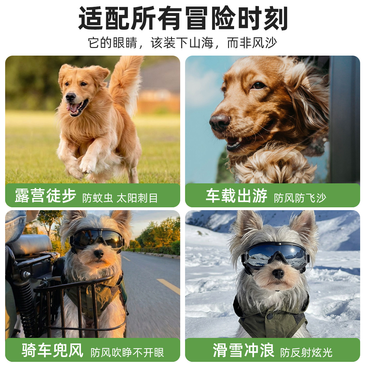 狗狗眼镜户外小型犬帅气装备防风眼镜柯基边牧金毛宠物专用护目镜,淘宝优惠券,粉丝福利购,淘宝优惠卷