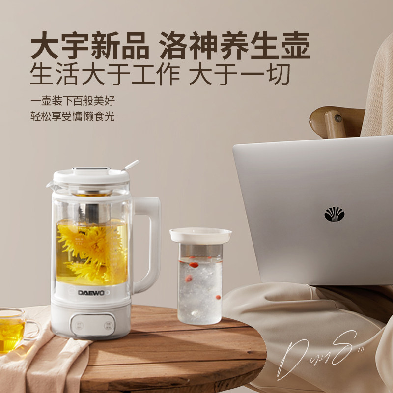  大宇西式厨房养生壶/煎药壶
