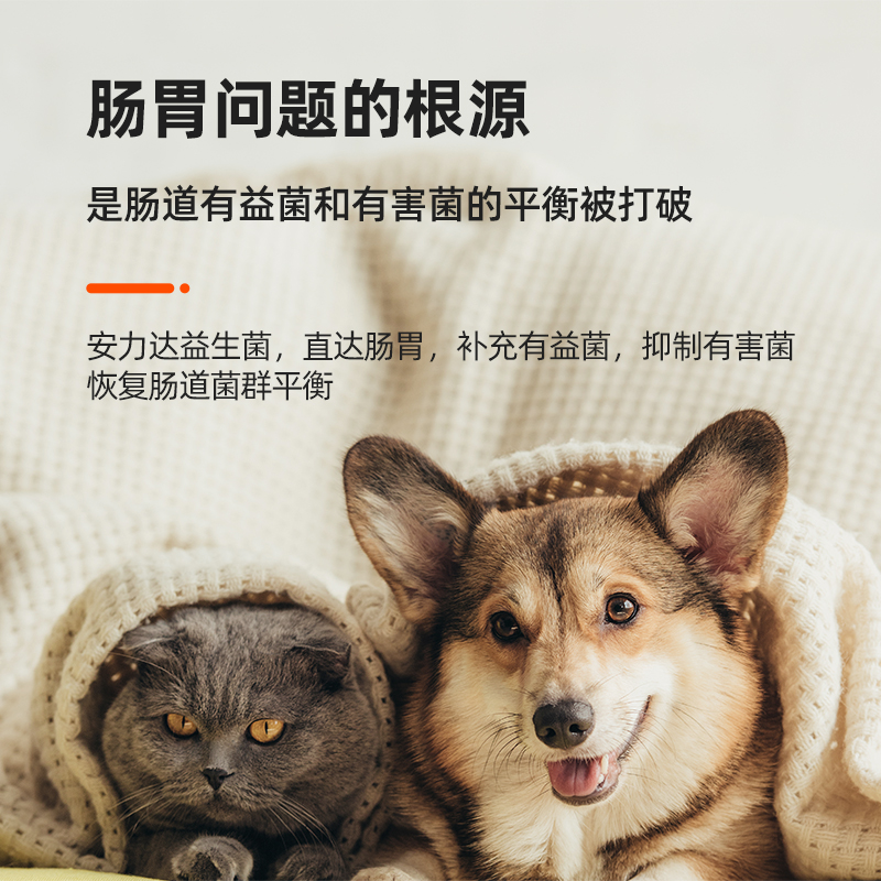 安力达益生菌狗狗肠胃调理猫咪专用宠物呕吐拉稀肠胃欣强化益生菌