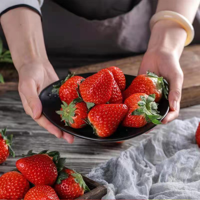 丹东99草莓新鲜孕妇水果应季久久红颜草莓九九牛奶奶油大草莓礼盒