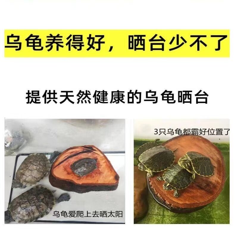 龙眼木免煮养大乌龟木头两用悬浮专用缸乌龟晒台休息台缸浮台