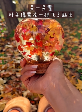 把秋天备份下来~落叶雪花球