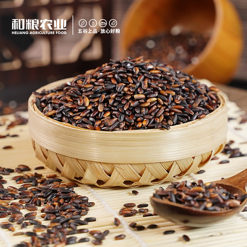 Northeast Blood Glutinous Rice New Rice Special Rice for Zongzi Milk Tea