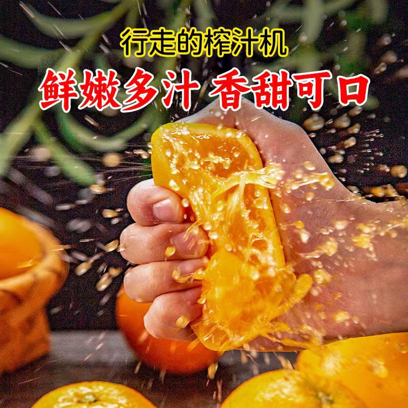 正宗江西贛南臍橙9斤橙子應當季水果新鮮贛州果凍橙冰糖甜橙包郵_綠森客旗艦店_水產肉類/新鮮蔬果/熟食