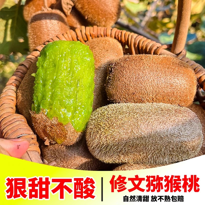 修文猕猴桃当季水果泥猴桃贵州贵长应季绿心猕猴桃新鲜奇异5斤装