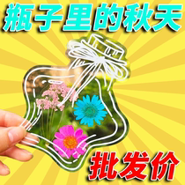 Dry Flower Bookmark Handmade Diy material Homemade embossed plant specimen plastic film glass bottle in autumn