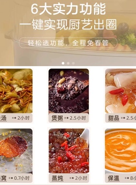 家用电炖盅小熊白瓷全自动