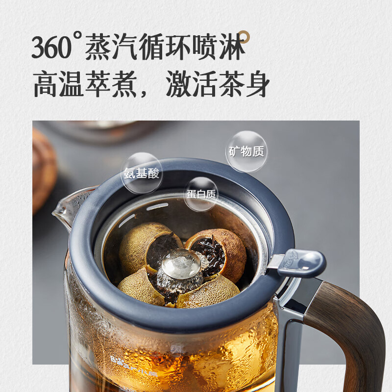 小熊煮茶器电茶炉蒸茶壶养生壶办公室小型蒸汽泡茶机喷淋式蒸茶器,淘宝优惠券,粉丝福利购,淘宝优惠卷