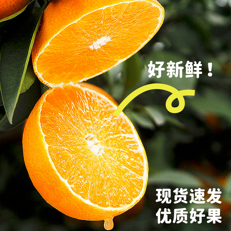 【交个朋友年货节】眉山爱媛橙38号果冻橙新鲜水果橙子产地直发