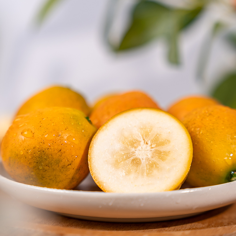广西融安金桔第三代脆密金柑当季新鲜水果脆蜜金桔香甜多汁