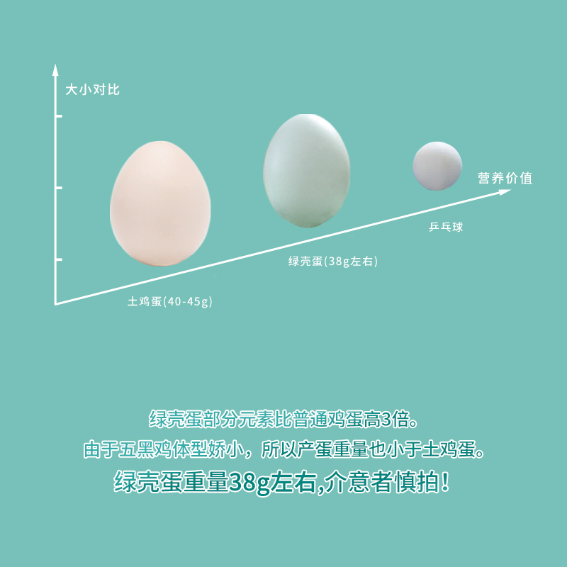 凡人乐乌鸡蛋谷物蛋农家山林散养孕妇月子蛋辅食新鲜青皮蛋绿壳蛋 - 图0