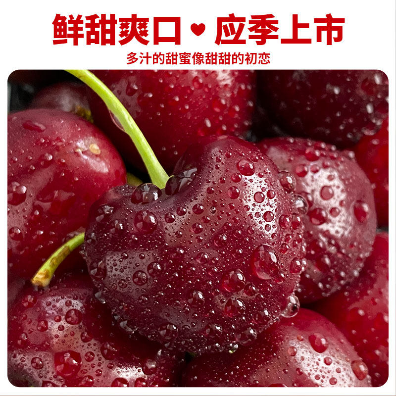 [现货]智利车厘子新鲜礼盒装5斤4J级进口大樱桃孕妇宝宝水果,淘宝优惠券,粉丝福利购,淘宝优惠卷