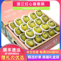Shunfeng 7 catty boxes loaded with pujiang red heart macaque Sichuan Pujiang red meat chic exotic fruit big fresh fruit