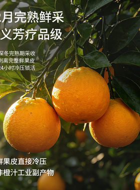 意大利甜橙精油舒缓放松身心
